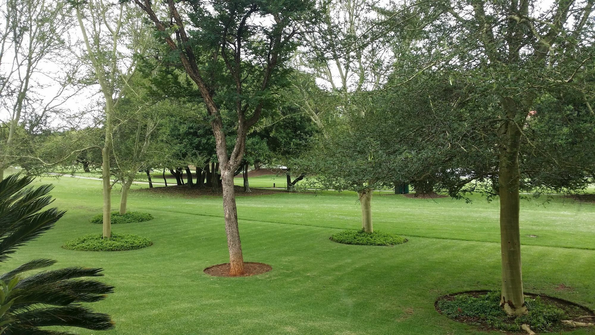 The Woodpecker Inn Pretoria-Noord Exteriör bild